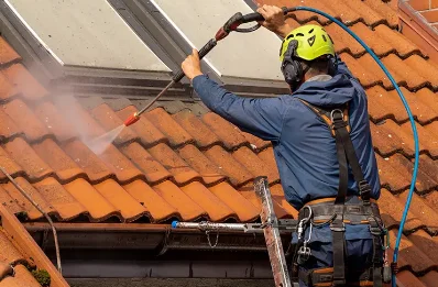 Démoussage et hydrofuge de toiture à Lamarque-Pontacq